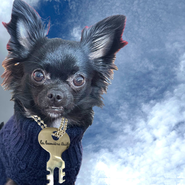 la lumiere' étant" LIGHT bEING